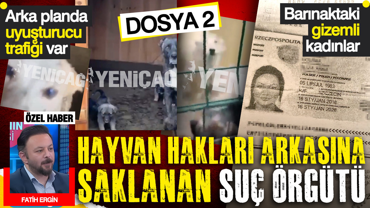 Hayvan hakları arkasına saklanan suç örgütü: Barınaktaki gizemli kadınlar