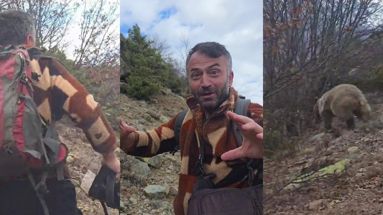 Kuş bakarken ayıyla burun buruna geldi: Dağcının mucizevi kurtuluşu