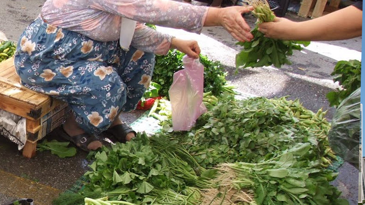 Alırken bu hataları yapmayın: Roka'nın gizli güçleri