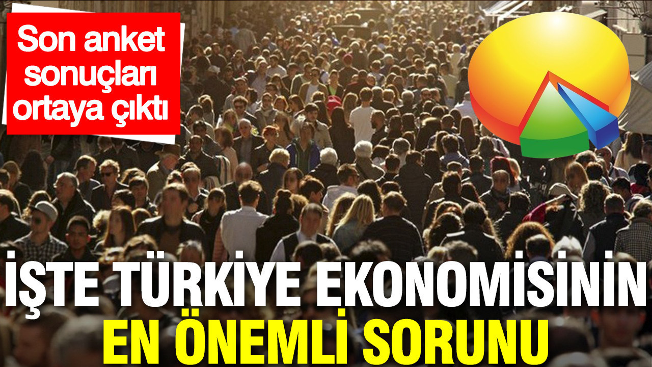 Son anket ASAL Araştırma'dan: İşte Türkiye ekonomisinin en önemli sorunu