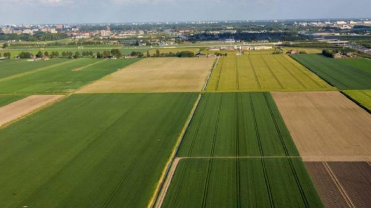 Toprağa hücum başladı: Arazi fiyatlarının en çok arttığı 15 il belli oldu