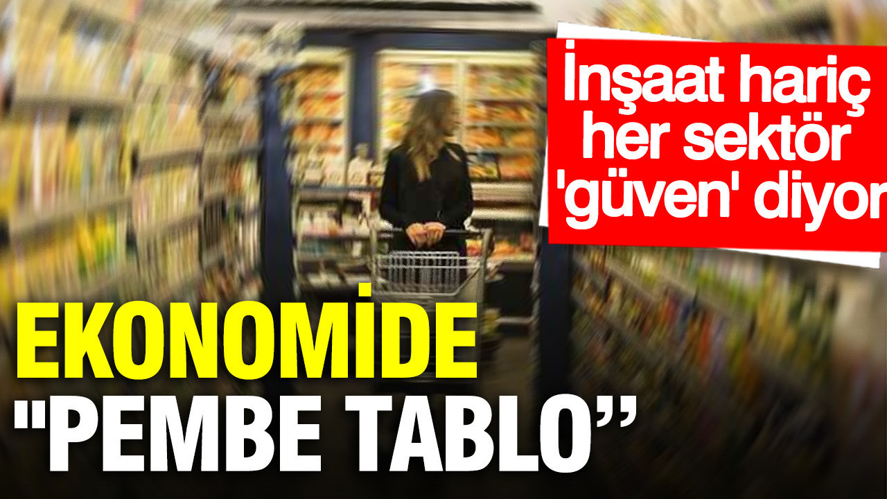 TÜİK Şubat ayı ekonomik güven endeksini açıkladı: Bir grup negatife düştü