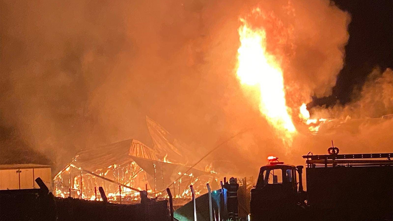 Bilecik’te çıkan yangında iki bağ evi kül oldu