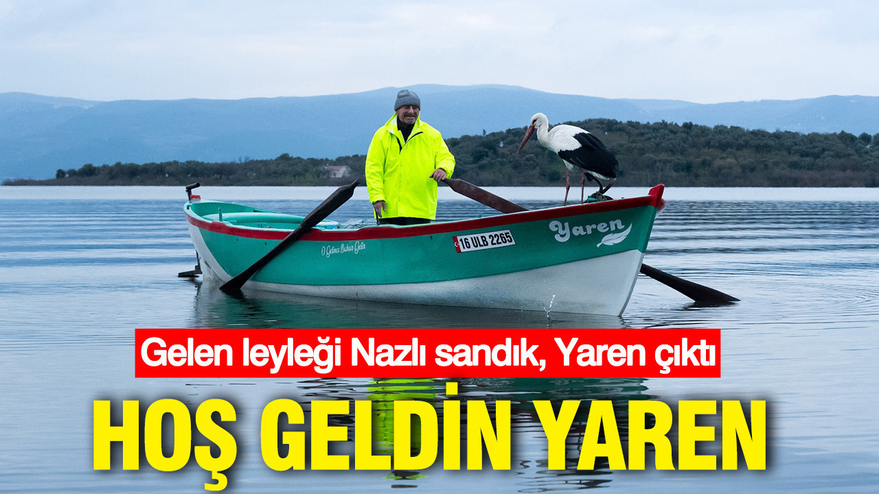 Gelen leyleği Nazlı sandık, Yaren çıktı. Hoş geldin Yaren