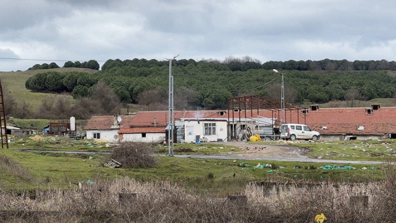İstanbul'da testereli dehşet: İşçisinin boynunu kesti