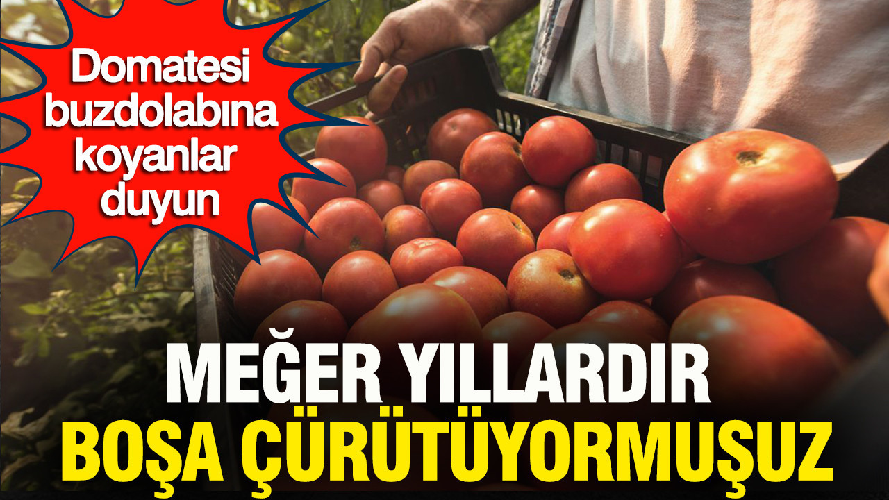 Meğer yıllardır boşa çürütüyormuşuz: Domatesi buzdolabına koyanlar duyun