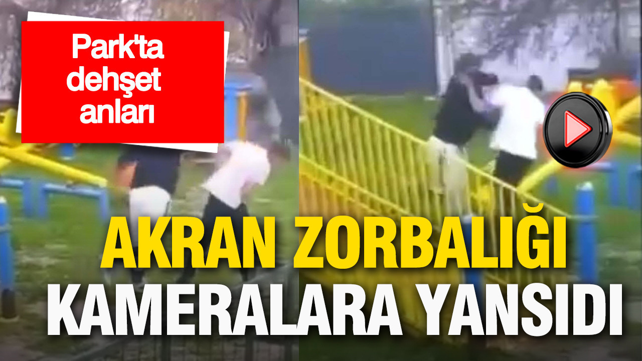 Parkta dehşet anları: Akran zorbalığı kamerada, 2 kişi gözaltına alındı