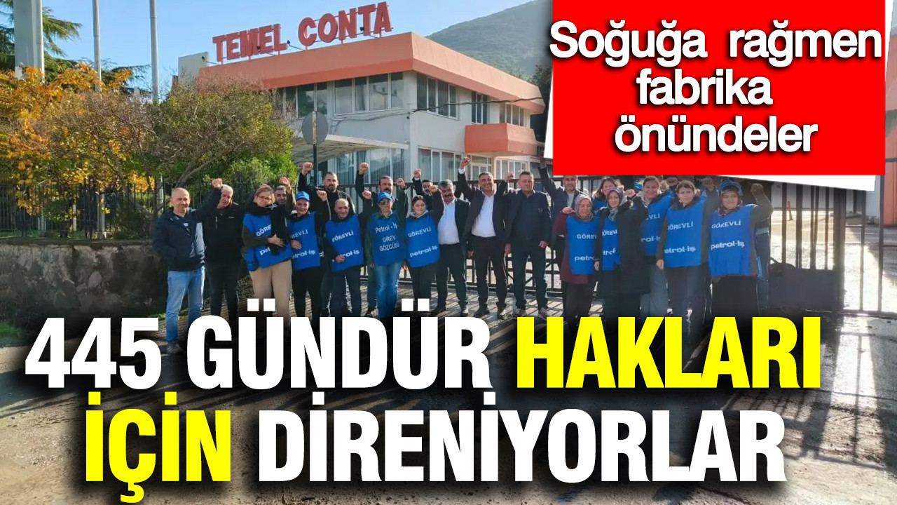Soğuğa rağmen fabrika önündeler: 445 gündür hakları için direniyorlar