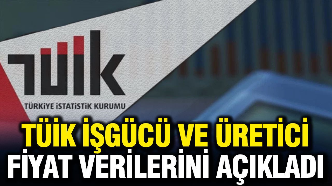 TÜİK Ocak ayı işgücü ve üretici fiyat verilerini açıkladı