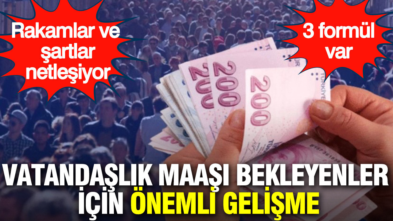 Vatandaşlık maaşın hangisi olacak? 3 formül ortaya çıktı