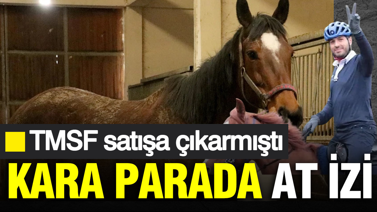 Kara parada at izi: TMSF satışa çıkarmıştı