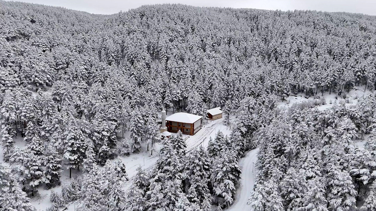 Dev çam ormanları kar altında: Erzincan’ın Saklı cenneti beyaza büründü