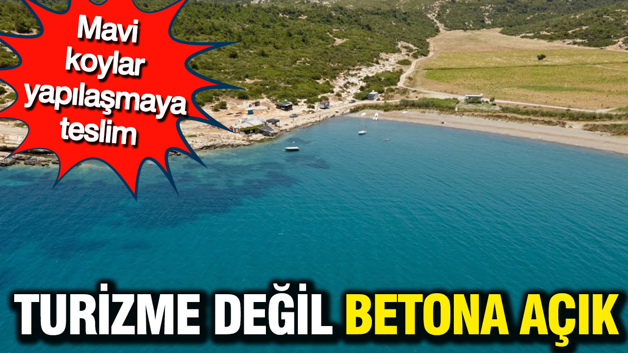 Mavi koylar yapılaşmaya teslim: Denize sıfır alanları turizme değil betona açık