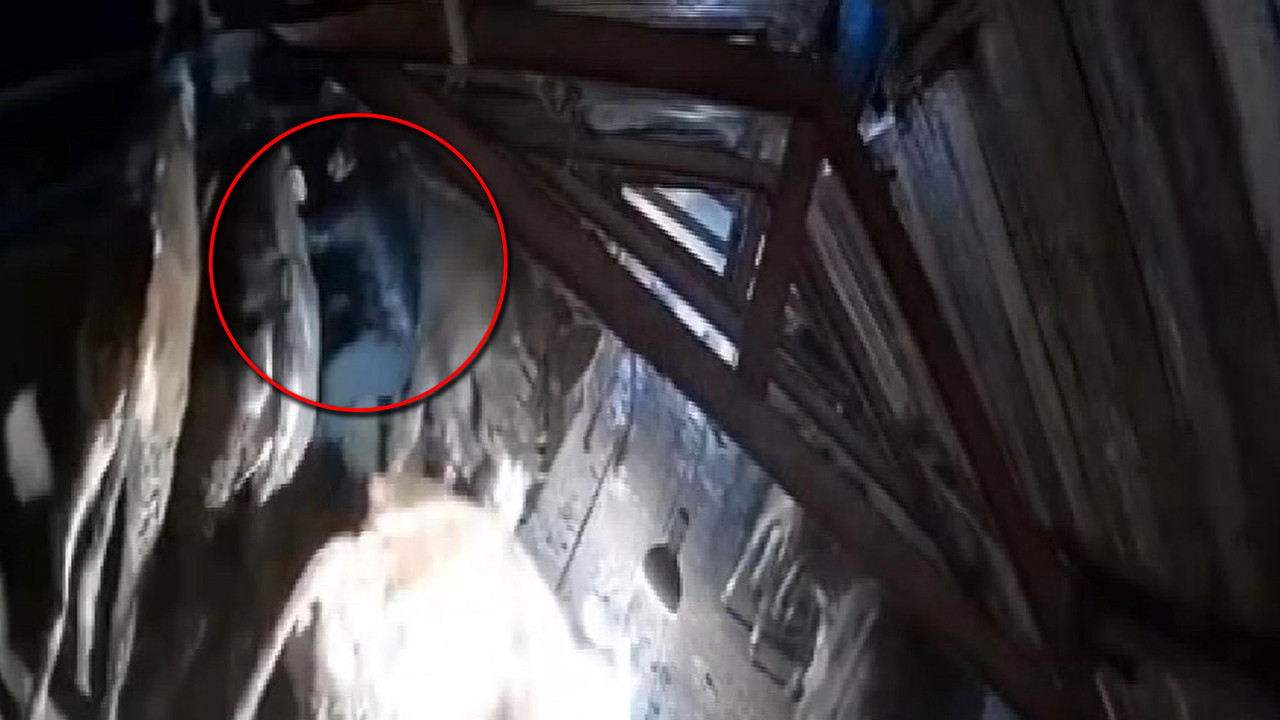 Ölümle burun buruna kurtarma: Çökme devam ederken ahıra girdi