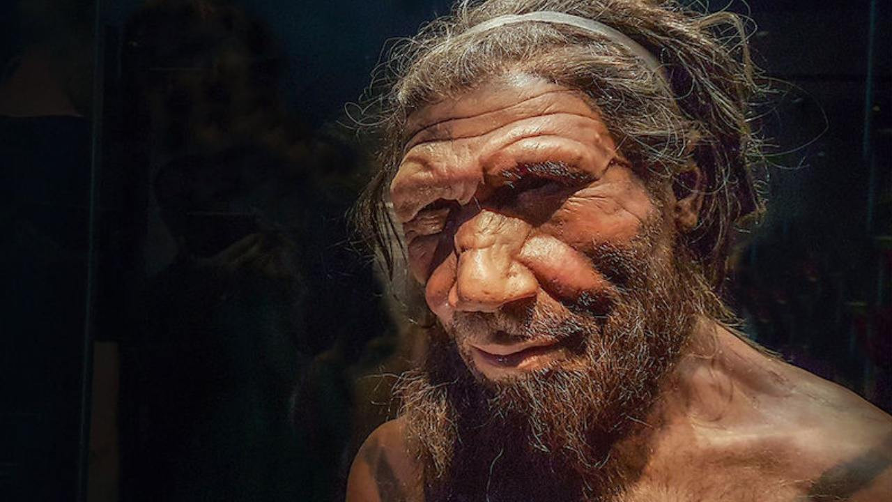 Yeni araştırma: Neandertal erkekler Homo sapiens kadınlarla daha sık çiftleşti