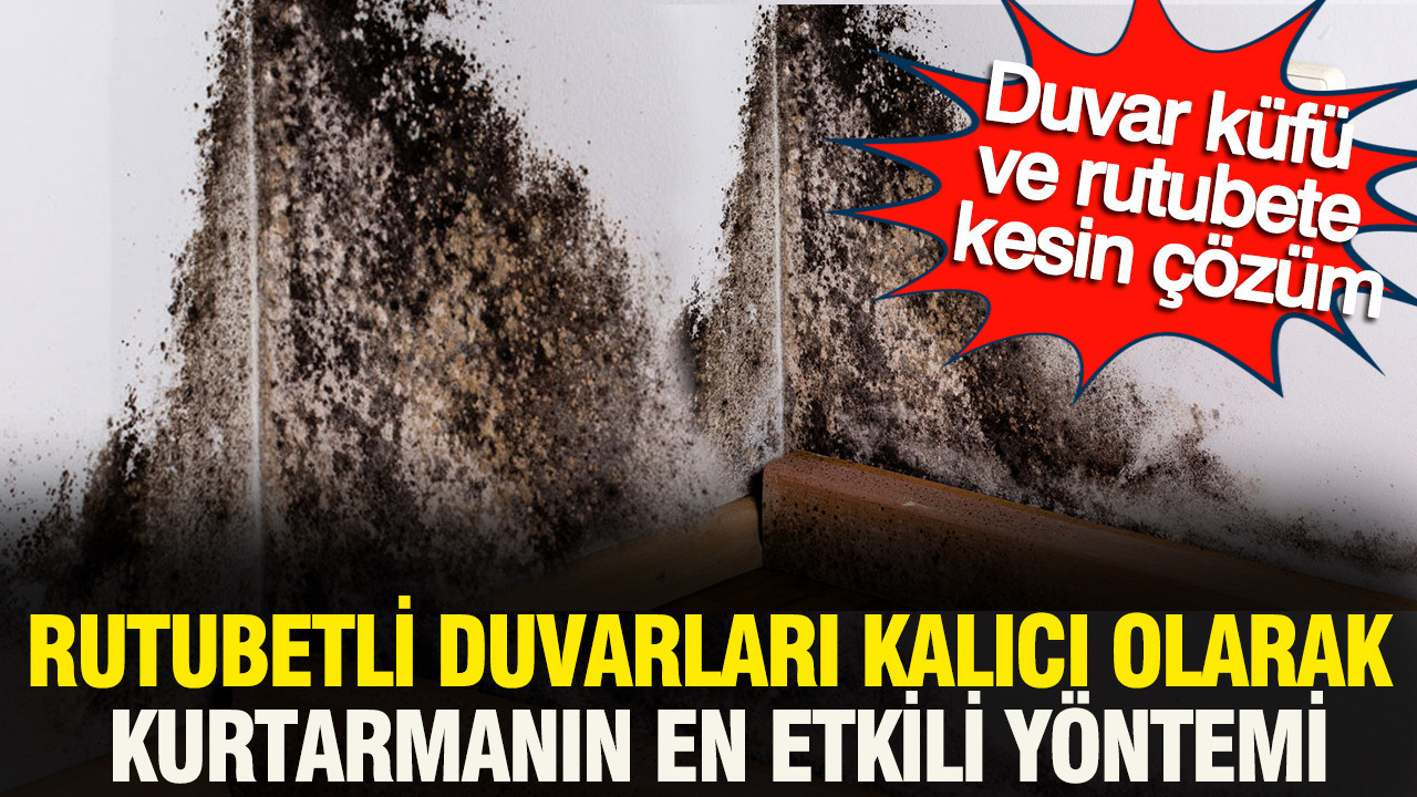 Duvar küfü ve rutubete kesin çözüm: Rutubetli duvarları kalıcı olarak kurtarmanın en etkili yöntemi