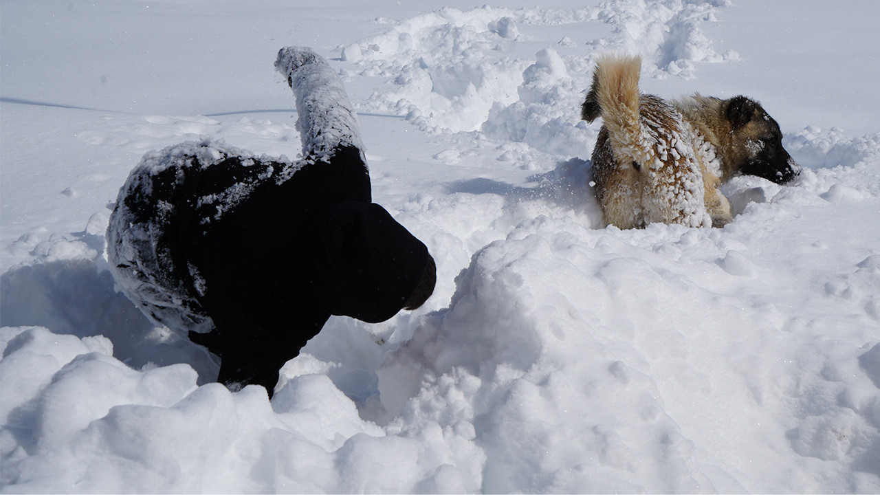 Erzurum’da kar yağışının çilesi sürüyor