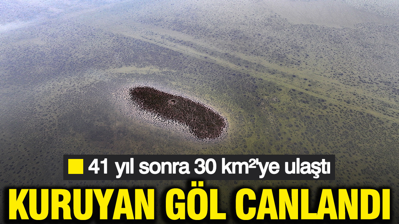 Kuruyan göl canlandı: Tuzla Palas 41 yıl sonra 30 km²'ye ulaştı