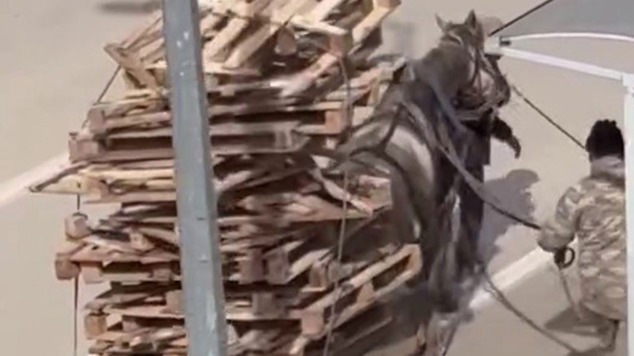 Pes dedirten görüntüler: At ilerlemekte zorlandı