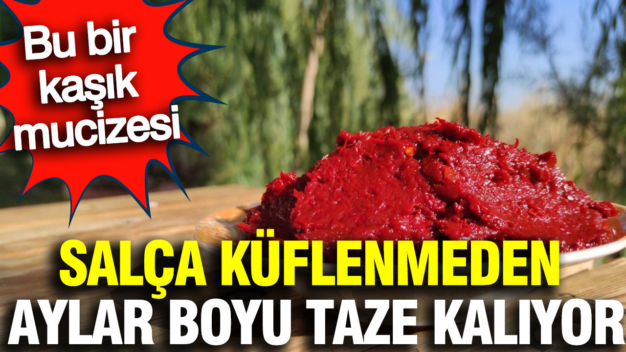Bu bir kaşık mucizesi: Salça küflenmeden aylar boyu taze kalıyor