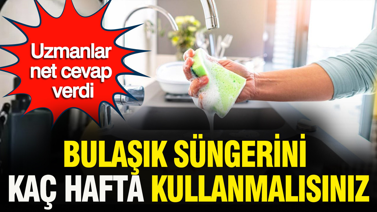 Bulaşık süngerini kaç hafta kullanmalısınız? Uzmanlar net cevap verdi