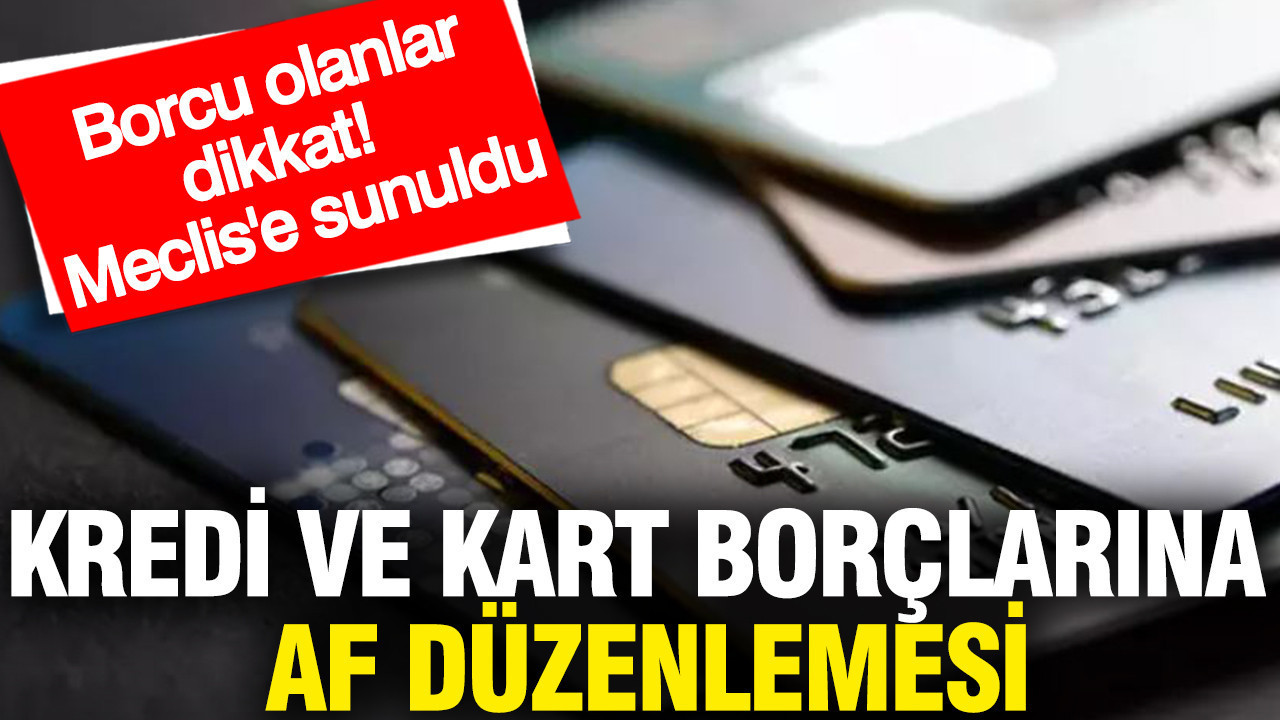 Kredi ve kart borçlarına af düzenlemesi: Meclis’e sunuldu