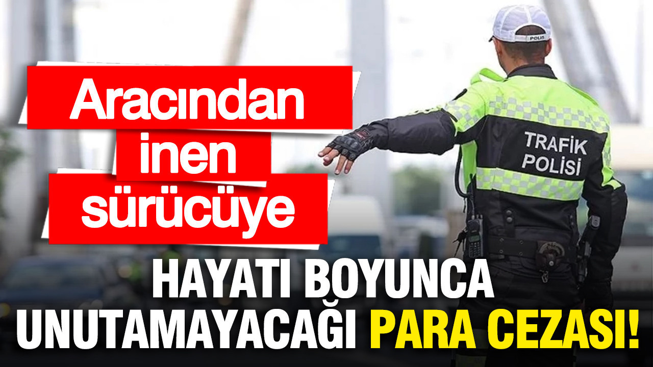 Otomobilinden inen sürücüye hayatı boyunca unutamayacağı rekor para cezası