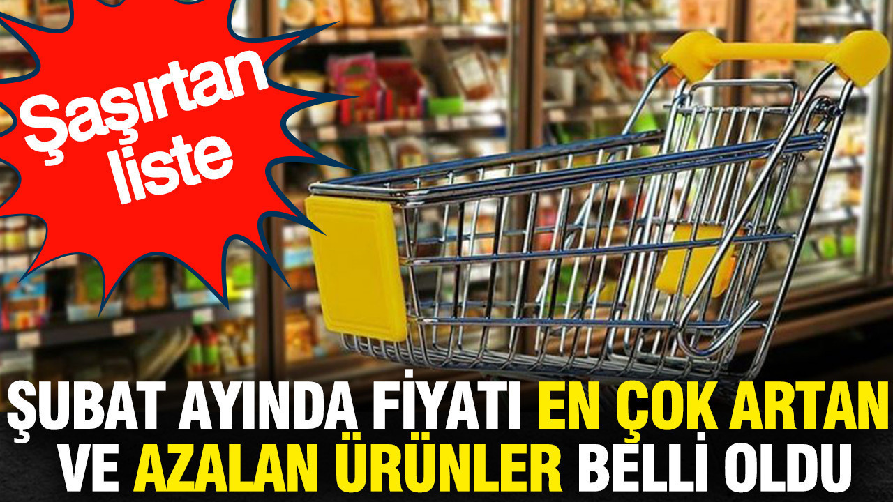 Şubat ayında fiyatı en çok artan ve azalan ürünler belli oldu
