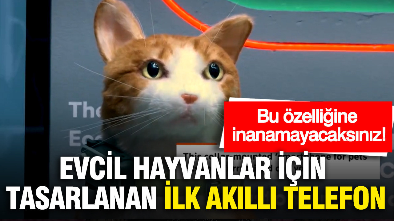 Evcil hayvanlar için tasarlanan ilk akıllı telefon tanıtıldı... Bu özelliğine inanamayacaksınız