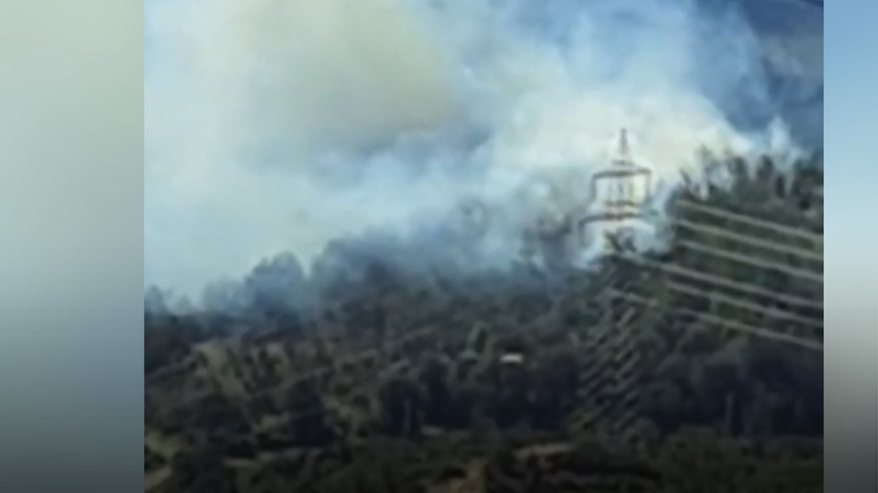 Kıvılcımlar ormanı sardı: Osmaniye’de yangın