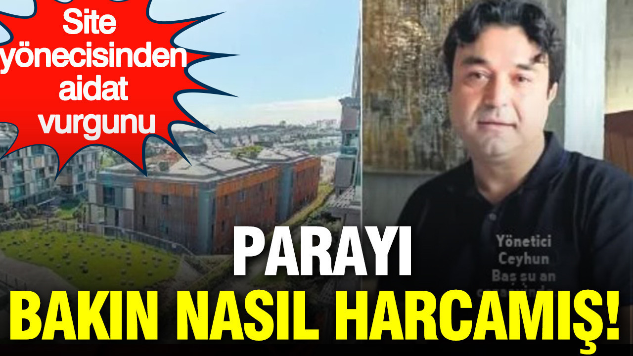 Site yöneticisinden aidat vurgunu: Parayı bakın nasıl harcamış