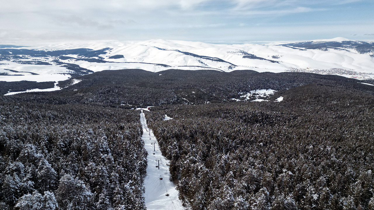 Kars’ın sarıçam ormanları beyaza büründü