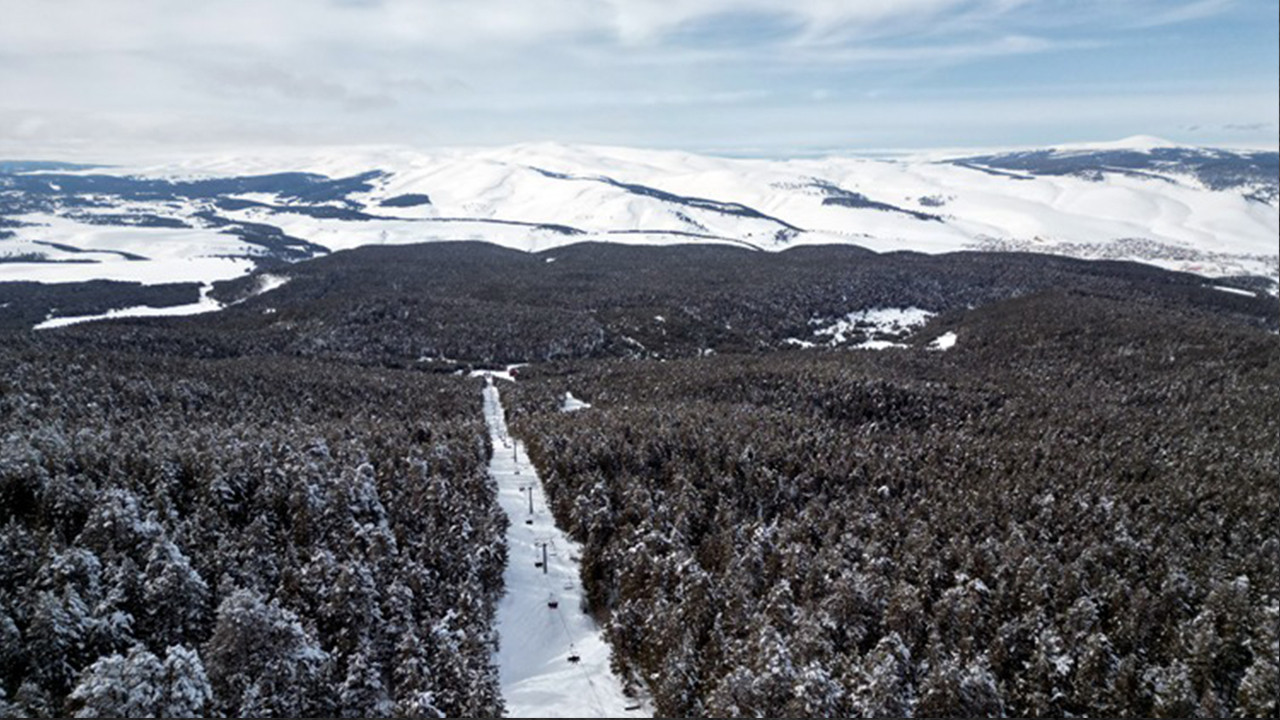 Kars'ta Sarıçam ormanları beyaza büründü