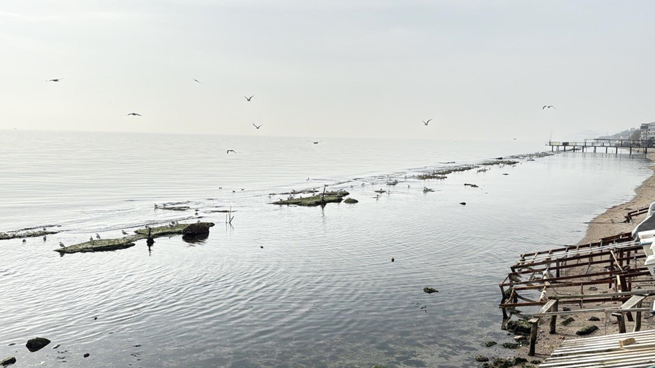 Kral Yolu ortaya çıktı: Marmara Denizi 7 metre geriye çekildi
