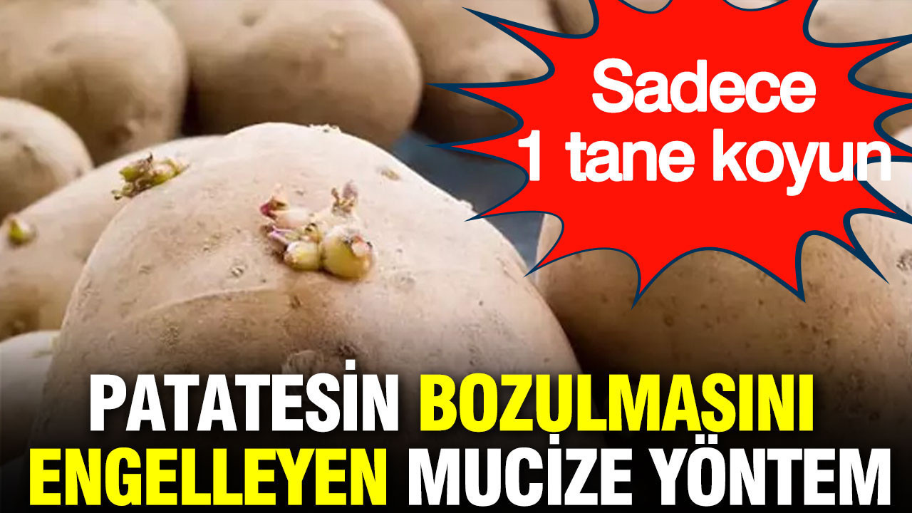 Patatesin bozulmasını engelleyen mucize yöntem: Sadece 1 tane koyun