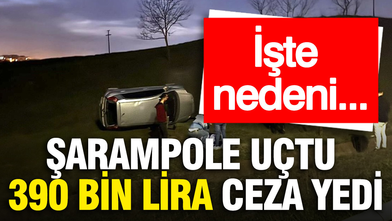 Şarampole uçtu, 390 bin lira ceza yedi: İşte nedeni...