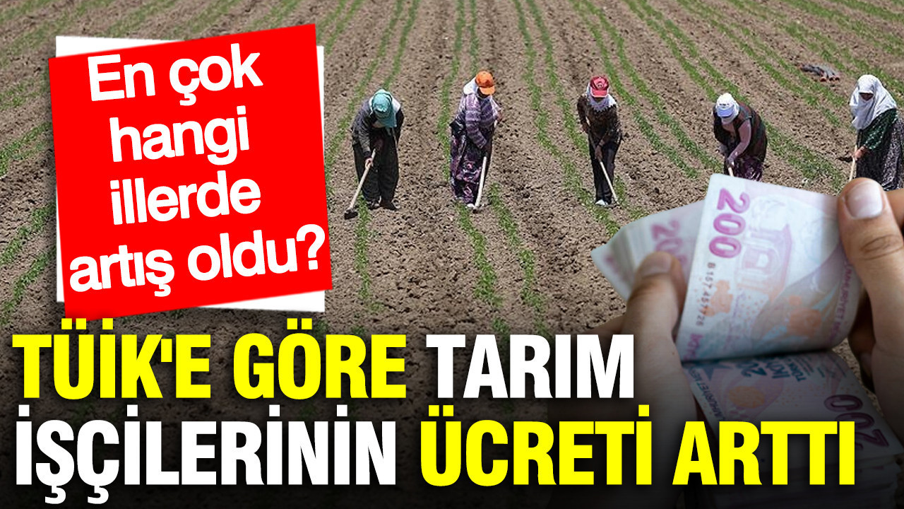 TÜİK'e göre tarım işçilerinin ücreti arttı: En çok hangi illerde artış oldu?
