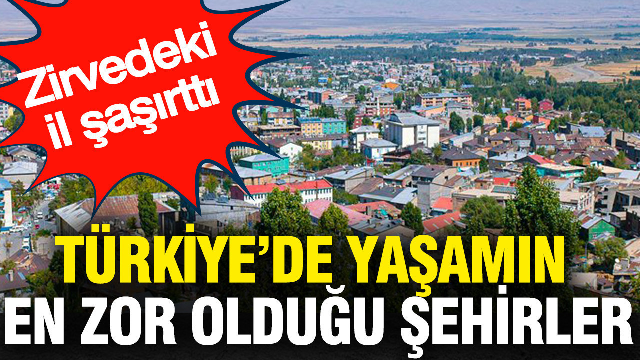 Türkiye’de yaşamın en zor olduğu şehirler: Zirvedeki il şaşırttı