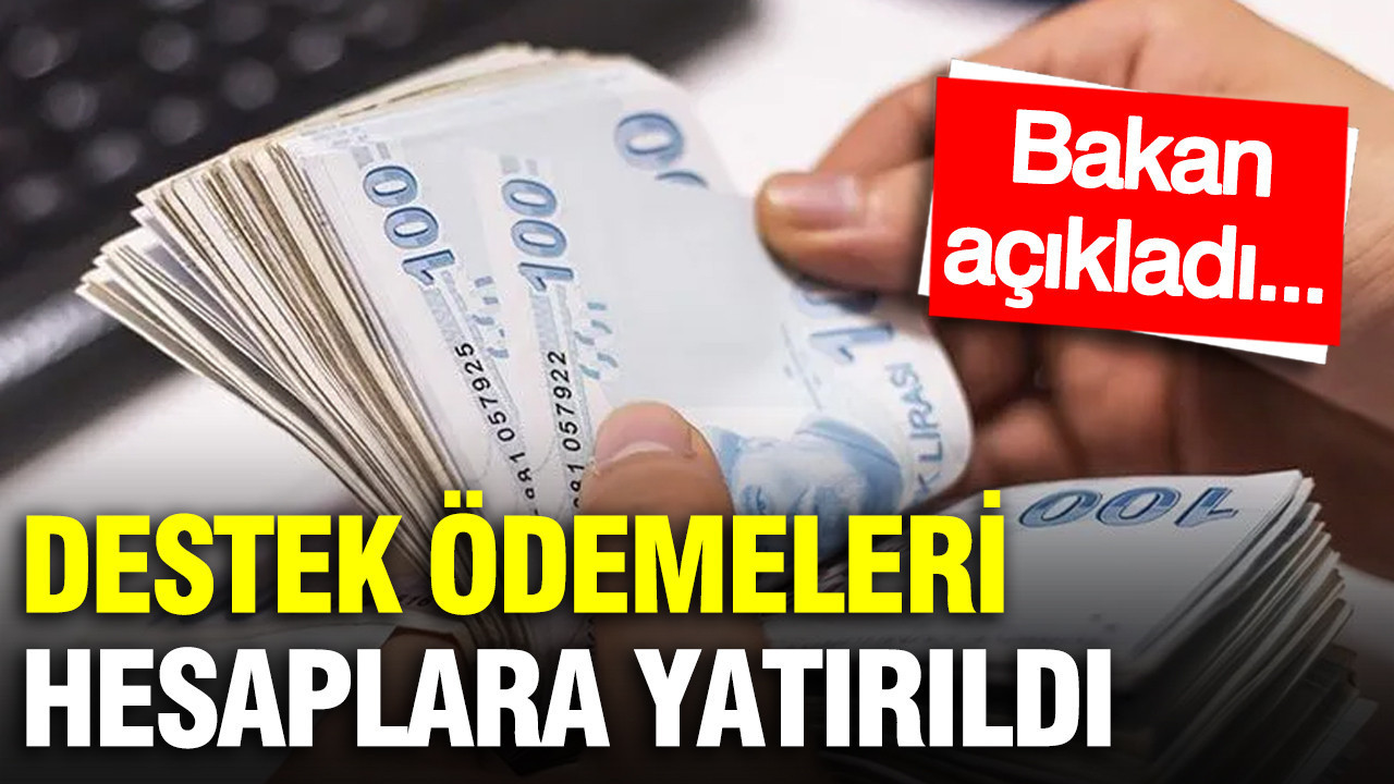 Yaşlı ve engelli aylıkları hesaplara yatırıldı: Bakan açıkladı...