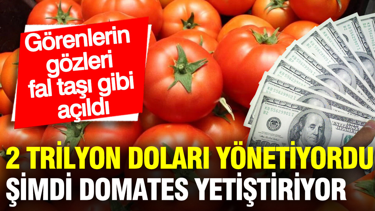 2 trilyon doları yönetiyordu, şimdi domates yetiştiriyor: GPIF'in efsane başkanı tarlaya indi