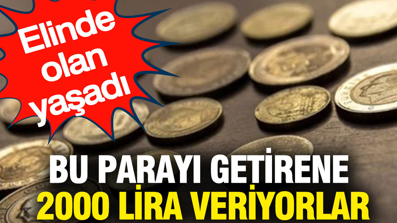 Bu parayı getirene 2000 lira veriyorlar: Elinde olan yaşadı