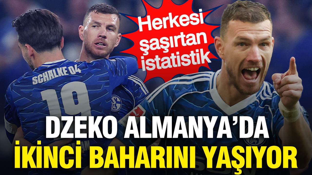 Bundesliga yolunda Schalke'yi sırtlayan Dzeko Almanya'da ikinci baharını yaşıyor