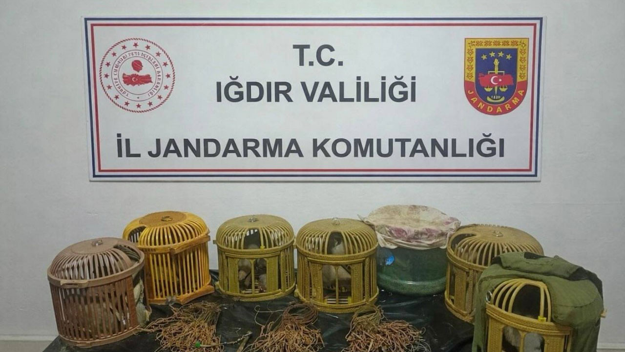 Kaçak keklik avcılarına 175 bin TL ceza