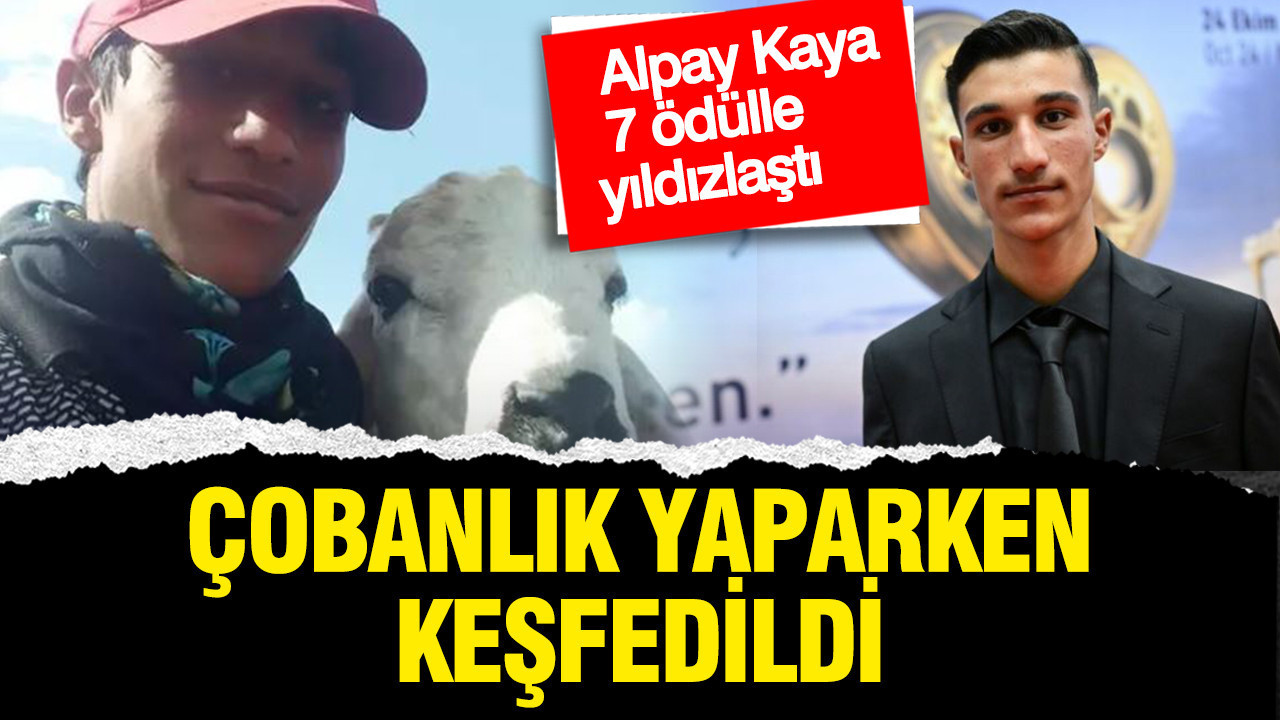 Çobanlık yaparken keşfedildi! Alpay Kaya 7 ödülle yıldızlaştı