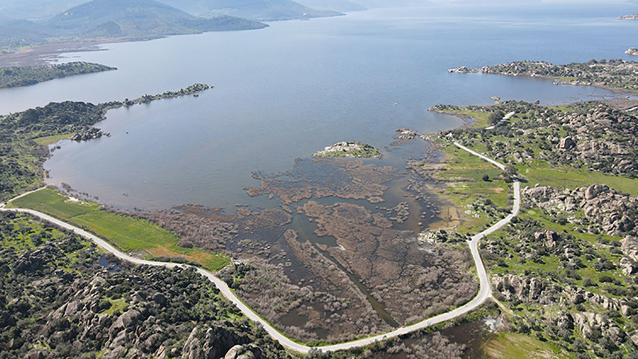Kuruyan Bafa Gölü canlandı: Balıkçılar ve kuşlar sevinçli… 30 metre çekilmişti