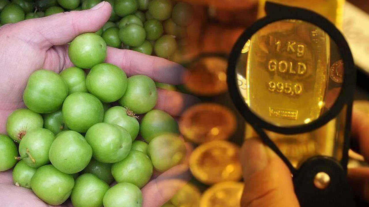 Yeşil erik gram altını geçti: Kilosu 9 bin lira