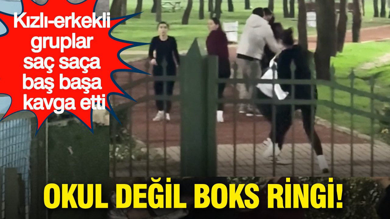Okul değil boks ringi: Kızlı erkekli gruplar saç saça baş başa kavga etti