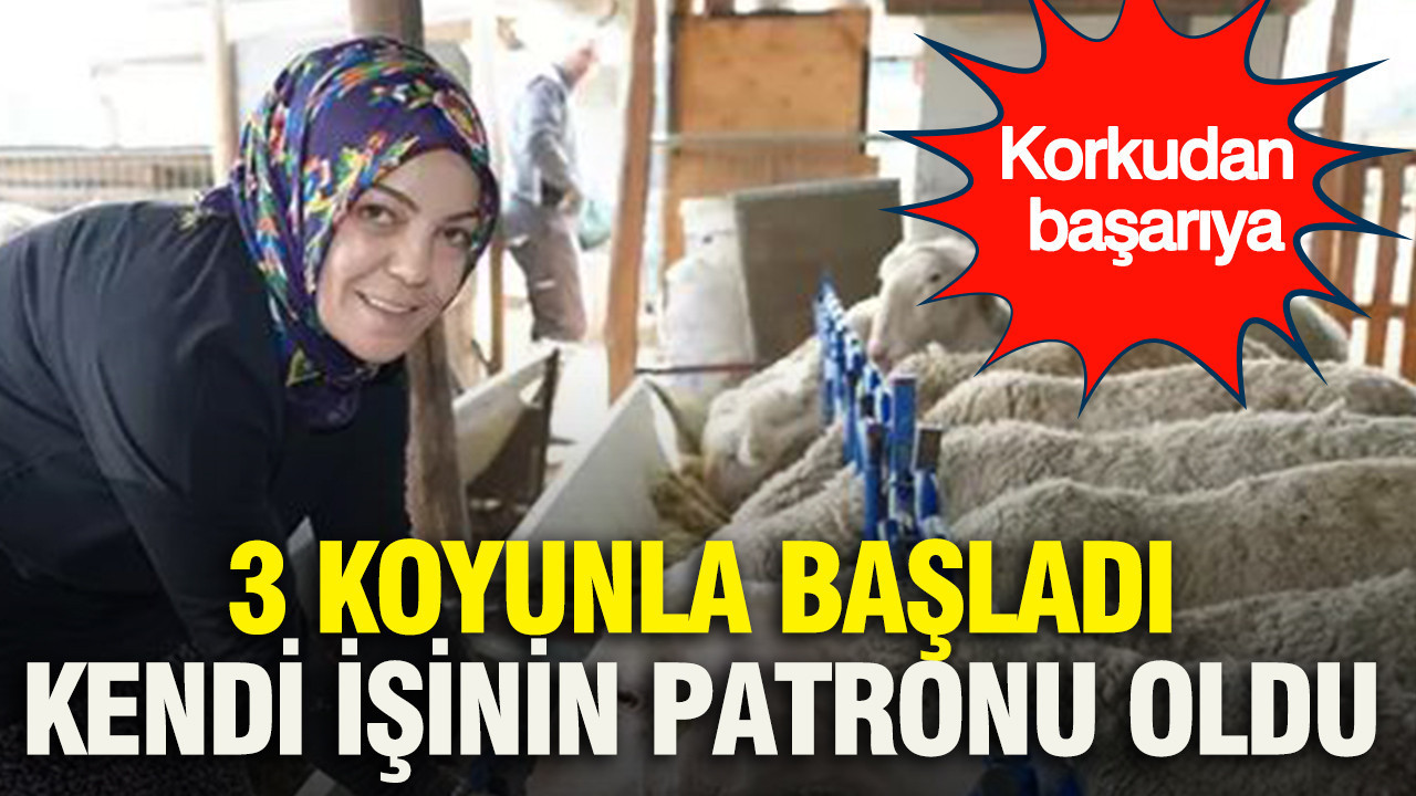 3 koyunla başladı, kendi işinin patronu oldu: Korkudan başarıya