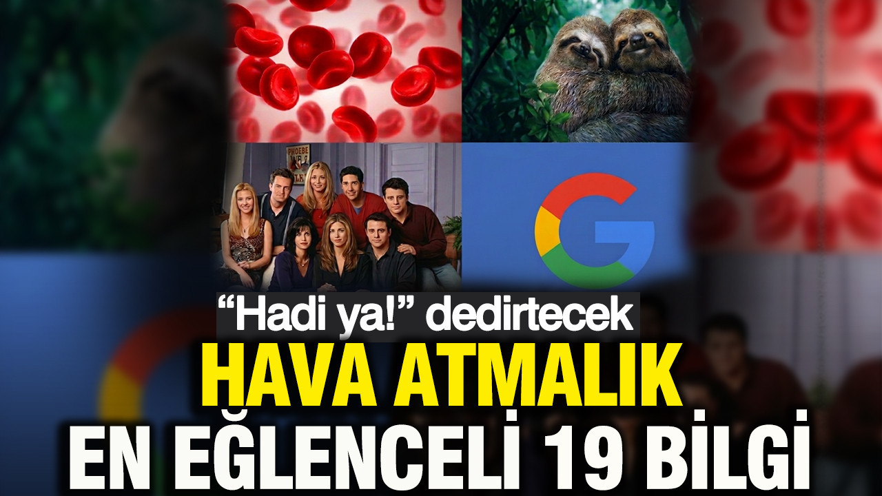 Arkadaşlarınıza anlatınca “Nereden Biliyorsun?” dedirtecek 19 enteresan gerçek