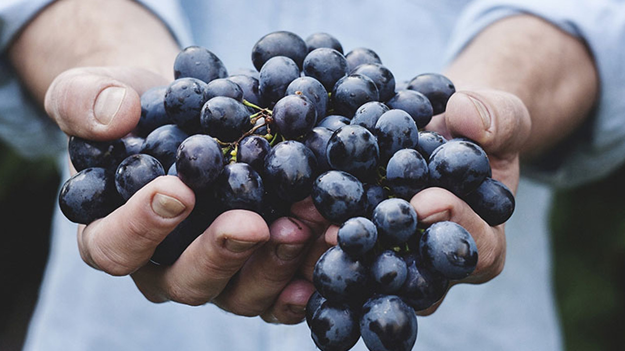 Karadeniz'in mor mucizesi: Pepeçura tatlısı evde nasıl yapılır?